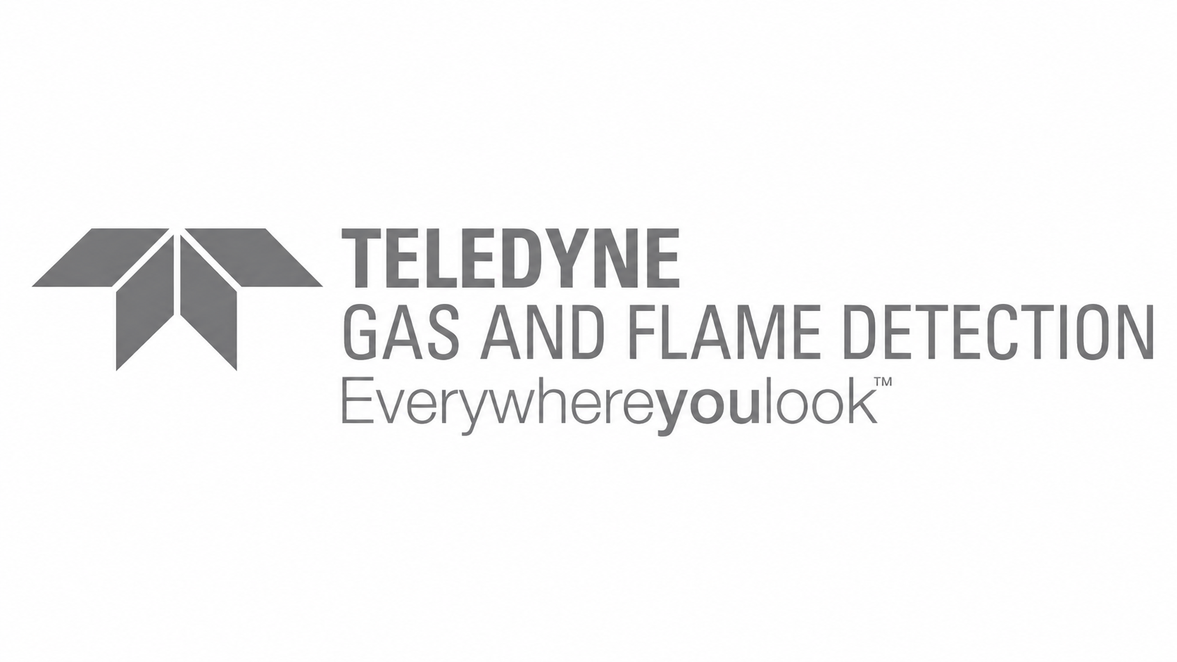 Teledyne Gas and Flame Detection